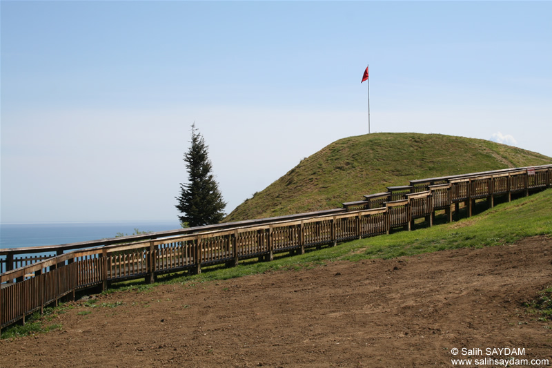http://www.salihsaydam.com/Photo/Samsun/Amisos/2007-04-15-063.jpg