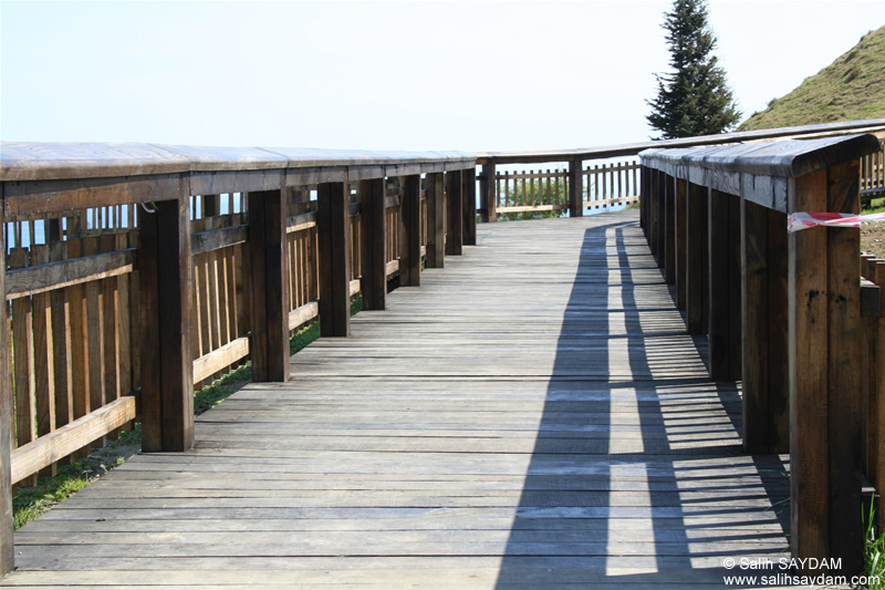 http://www.salihsaydam.com/Photo/Samsun/Amisos/2007-04-15-064.jpg