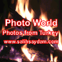 Salih Saydam'ın Fotoğraf Dünyası