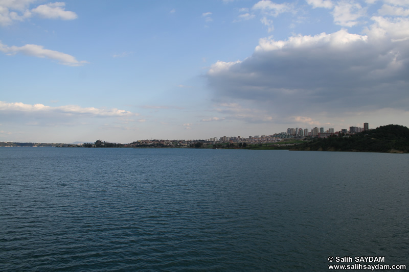 Seyhan Baraj Fotoraf Galerisi 7 (Adana)