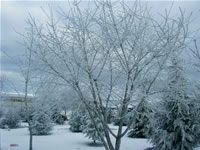 Winter in Ahlatlibel Photo Gallery 1 (Ankara)