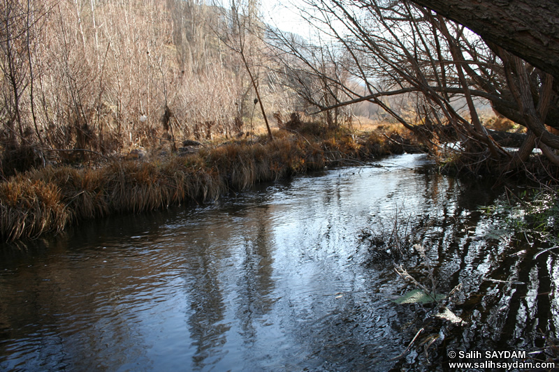 Alicin Canyon Photo Gallery 8 (Ankara, Kizilcahamam, Celtikci)