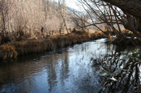 Alicin Canyon Photo Gallery 8 (Ankara, Kizilcahamam, Celtikci)