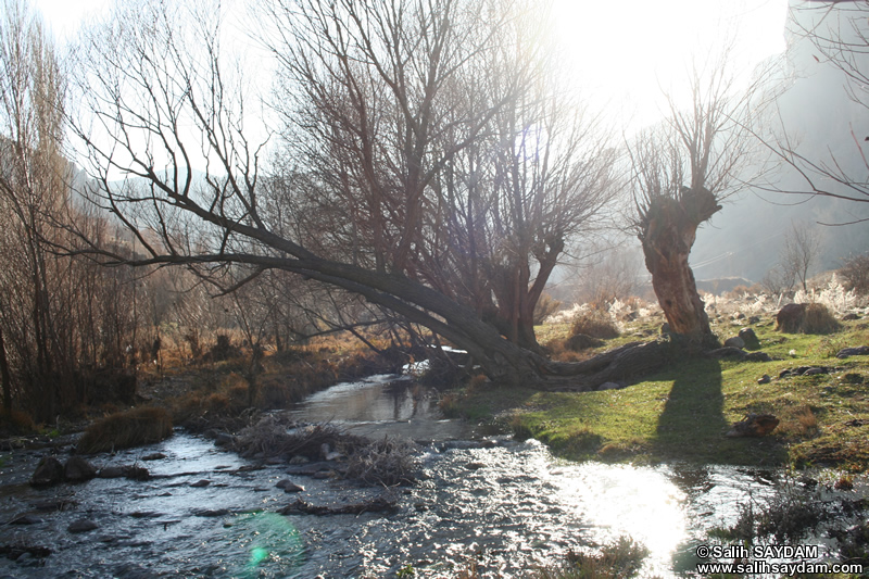 Alicin Canyon Photo Gallery 10 (Ankara, Kizilcahamam, Celtikci)