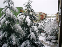 Winter in Ankara Photo Gallery (Ankara)