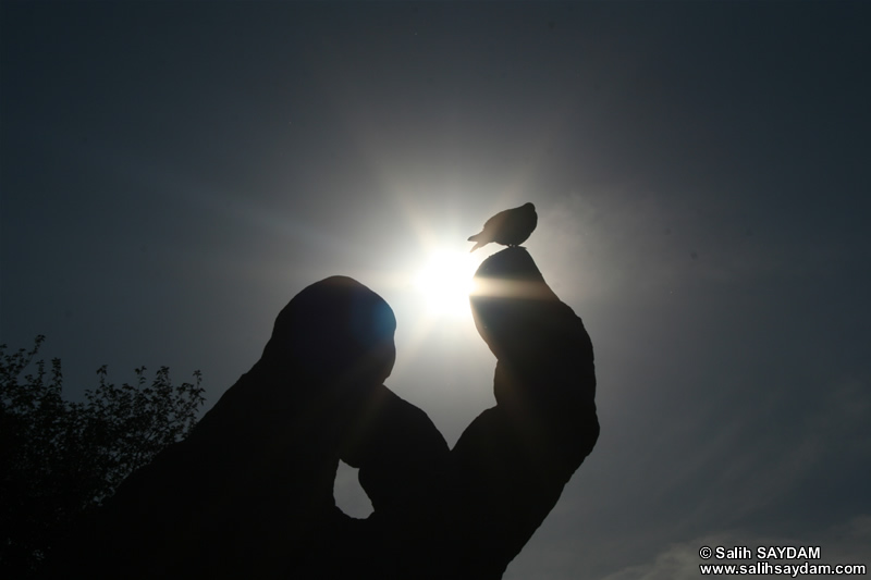 Hands Statue Photo Gallery (Ankara, Abdi Ipekci Park)