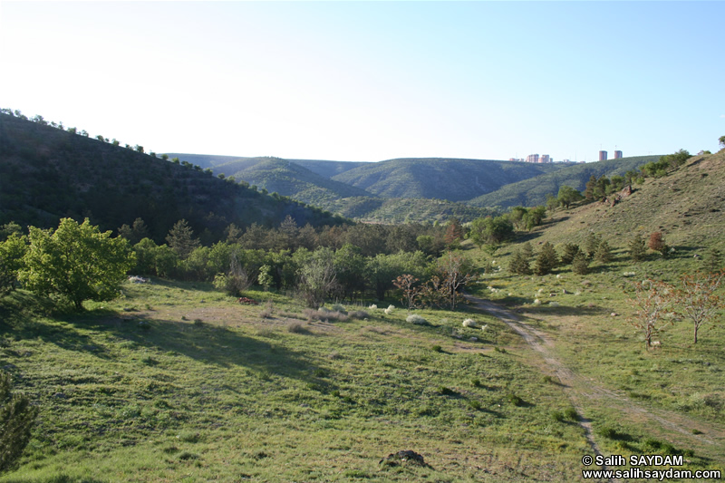 Lake of Eymir Photo Gallery 8 (Ankara)