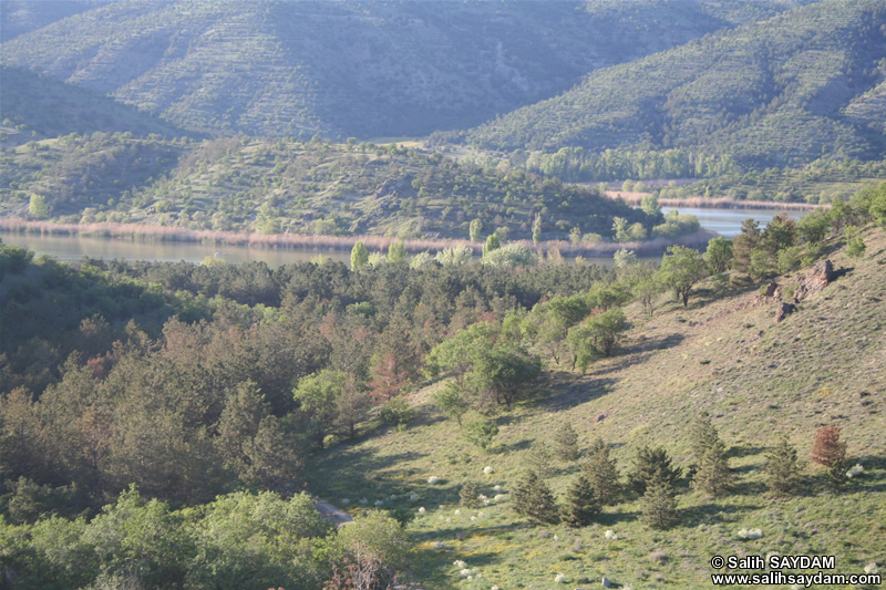 Lake of Eymir Photo Gallery 9 (Ankara)