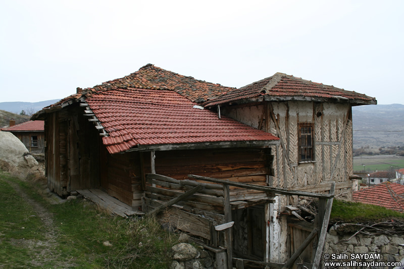 Mahkeme Aacin Ky Fotoraf Galerisi 3 (Ankara, Kzlcahamam)