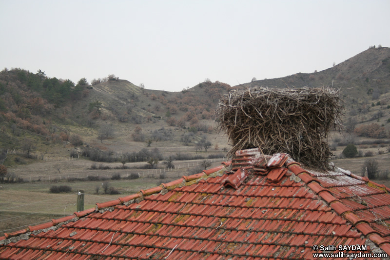 Mahkeme Agacin Village Photo Gallery 6 (Ankara, Kizilcahamam)