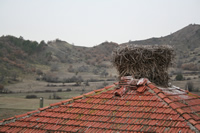 Mahkeme Agacin Village Photo Gallery 6 (Ankara, Kizilcahamam)