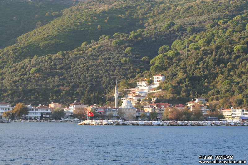 Marmara Adas Fotoraf Galerisi 1 (Erdek, Balkesir)