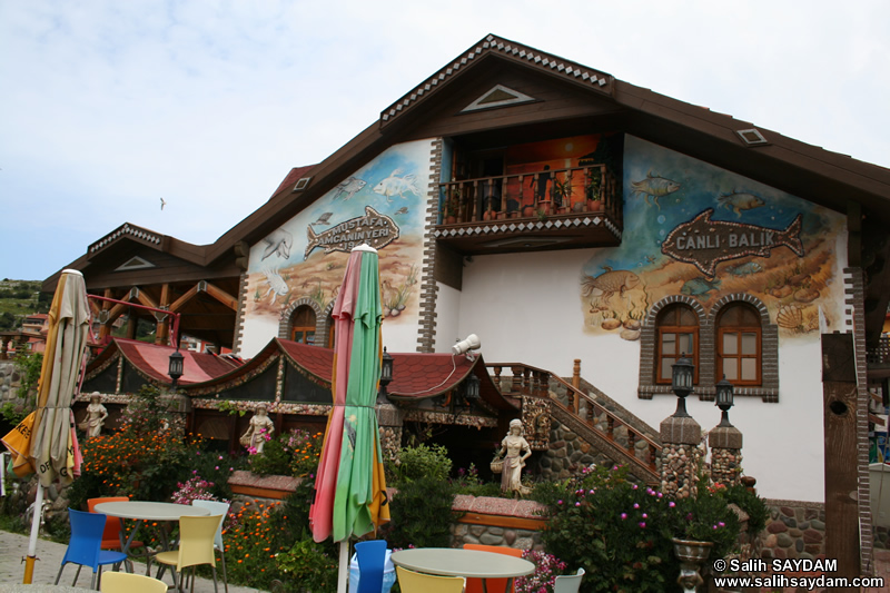 Canli Balik Fish Restaurant Photo Gallery (Bartin, Amasra)