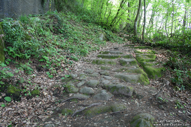 Bird's Rock Road Monument (Kuskayasi - Amasra Ancient Path) Photo Gallery 2 (Bartin, Amasra)