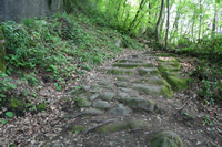 Bird's Rock Road Monument (Kuskayasi - Amasra Ancient Path) Photo Gallery 2 (Bartin, Amasra)