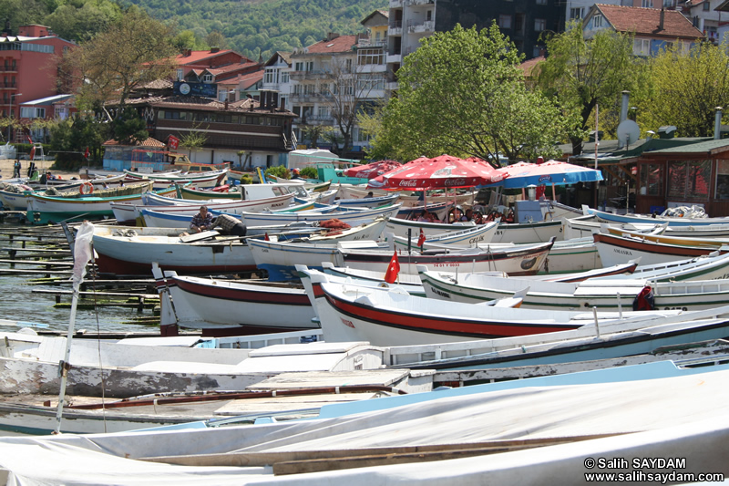 Rowing Boat Photo Gallery 1 (Bartin, Amasra)