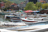 Rowing Boat Photo Gallery 1 (Bartin, Amasra)