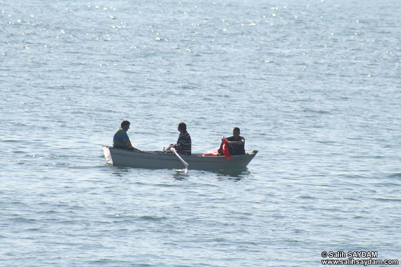 Rowing Boat Photo Gallery 2 (Bartin, Amasra)