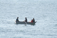 Rowing Boat Photo Gallery 2 (Bartin, Amasra)