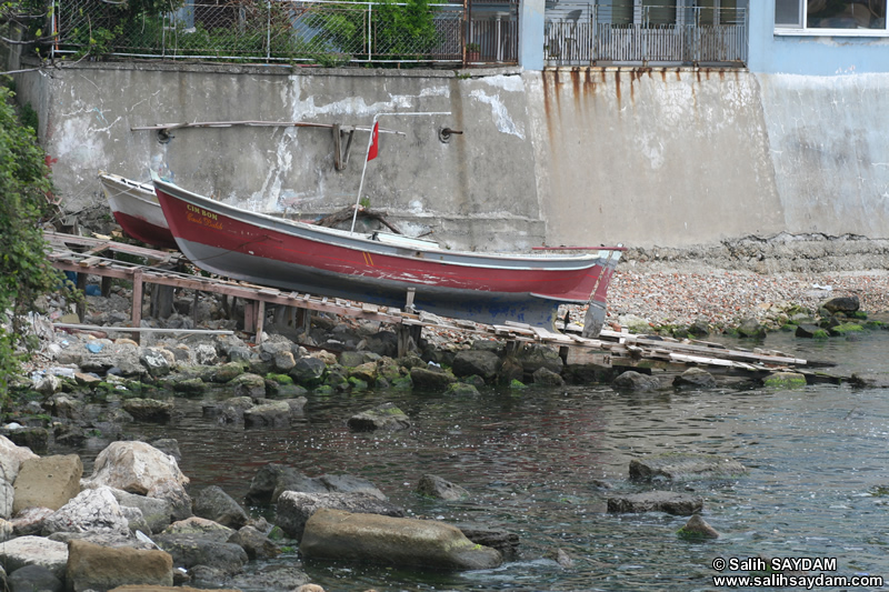 Sandal Fotoraf Galerisi 3 (Bartn, Amasra)