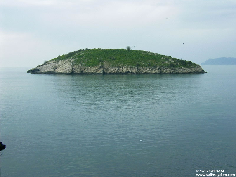 Rabbit Island Photo Gallery 1 (Bartin, Amasra)