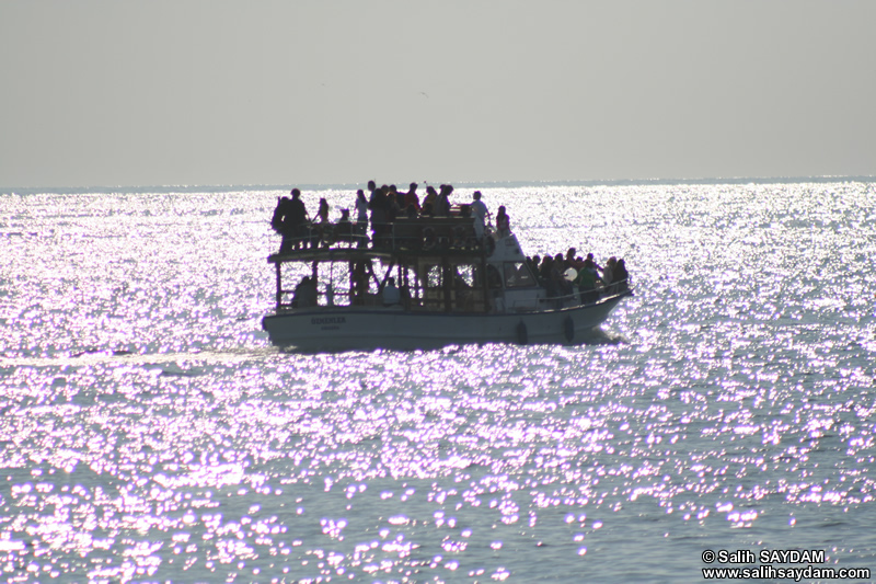 Tekne Fotoraf Galerisi 2 (Bartn, Amasra)