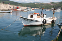 Boat Photo Gallery 3 (Bartin, Amasra)