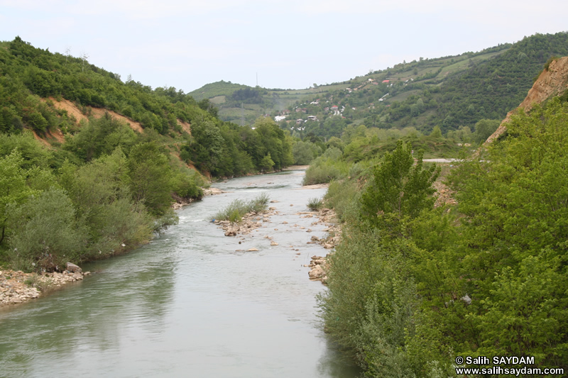 Bartin Stream Photo Gallery (Bartin)