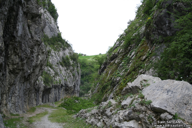 Ulukaya Fotoraf Galerisi 1 (Orman Mhendisi Alaattin Yazcolu Geidi) (Bartn, Ulus)