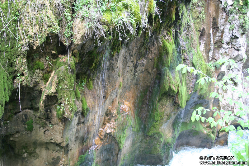 Ulukaya Photo Gallery 2 (Ulus Stream) (Bartin, Ulus)