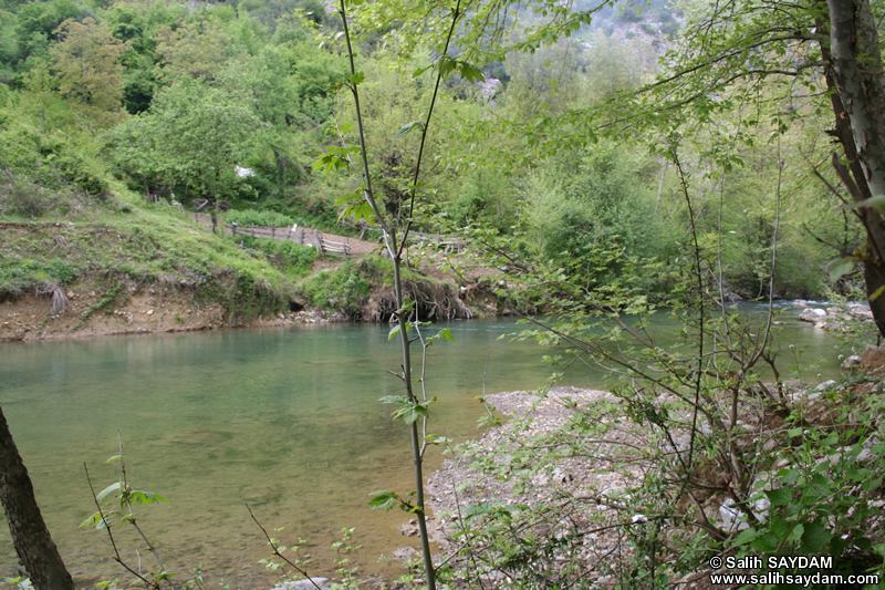 Ulukaya Photo Gallery 4 (Ulus Stream) (Bartin, Ulus)