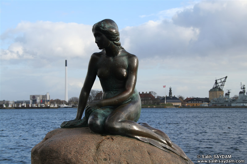Sculpture of The Little Mermaid Photo Gallery (Copenhagen, Denmark)