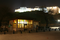 Gaziantep Kalesi ve Tarihi Kr Kraathanesi Fotoraf (Gece) (Gaziantep)