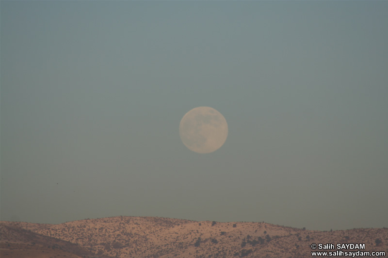 Fullmoon Photo Gallery 4 (Ankara)