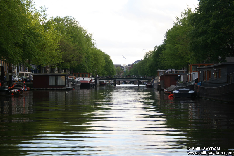 Amsterdam Kanallar Fotoraf Galerisi 2 (Amsterdam, Hollanda)
