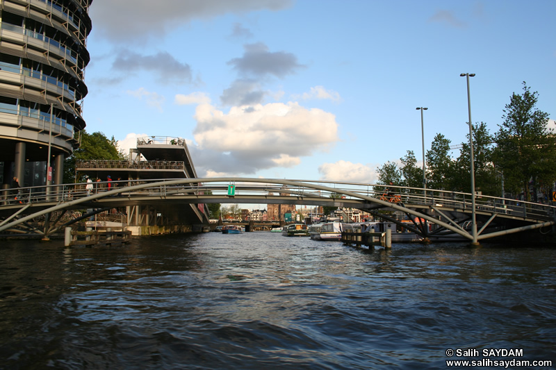 Amsterdam Kprleri Fotoraf Galerisi 2 (Amsterdam, Hollanda)