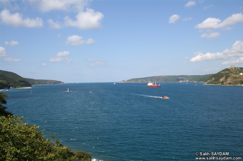 Bosphorus Photo Gallery (Istanbul)