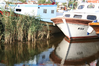 Fishing Boats at Riva Photo Gallery (Istanbul)