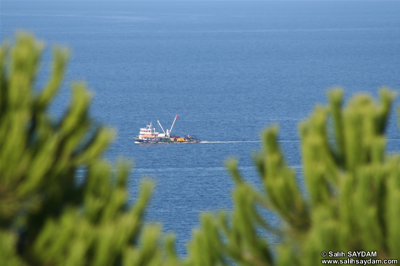 Fishing Boats at Sile Photo Gallery (Istanbul)