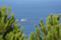 Fishing Boats at Sile Photo Gallery (Istanbul)