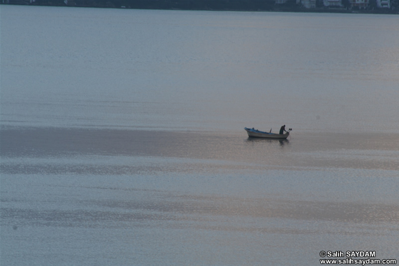 Hotel Altin Yunus Fishing Boats Photo Gallery (Izmir, Cesme)