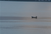 Hotel Altin Yunus Fishing Boats Photo Gallery (Izmir, Cesme)