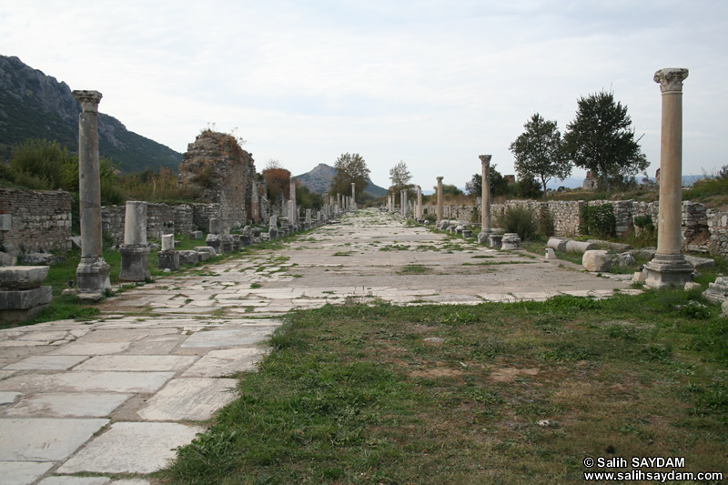 Ephesus Antique City Photo Gallery 8 (Arcadiane Avenue) (Selcuk, Izmir)