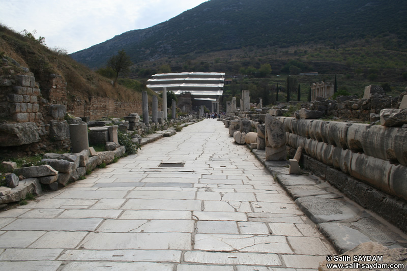 Ephesus Antique City Photo Gallery 24 (Marble Way) (Selcuk, Izmir)