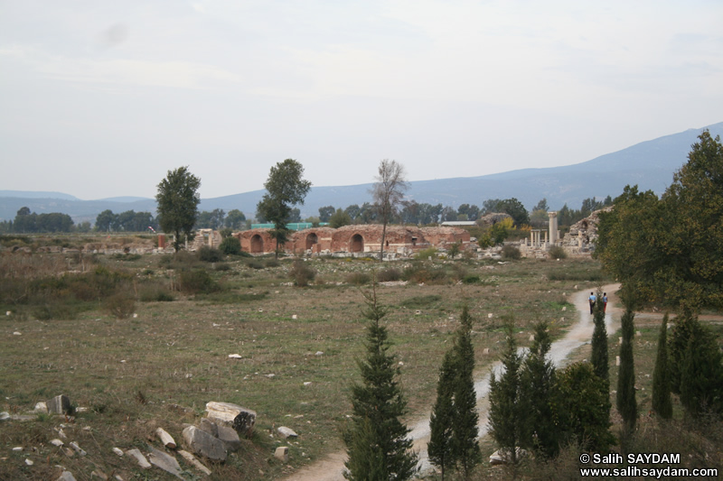 Efes Antik Kenti Fotoraf 25 (Meryem Kilisesi) (Seluk, zmir)