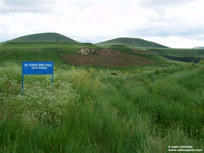 Ani Ruins Photo Gallery 16 (12th Centhury Silk Road) (Kars, Ani)