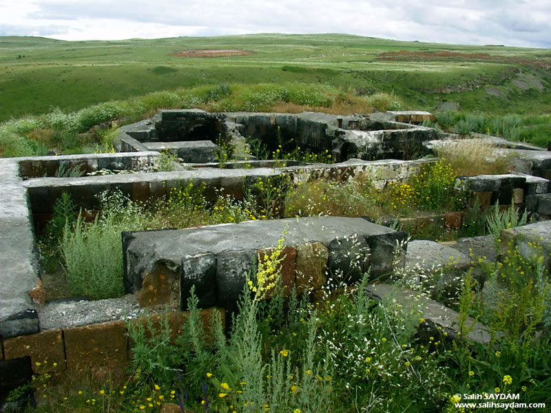 Ani Ruins Photo Gallery 11 (Caravanserai) (Kars, Ani)