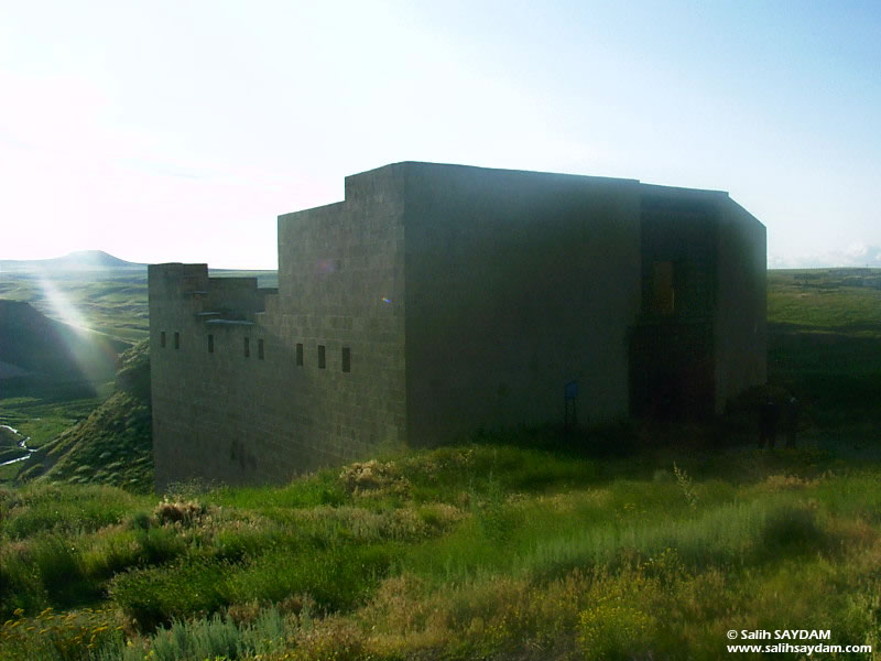Ani Ruins Photo Gallery 2 (Selchuk Palace) (Kars, Ani)