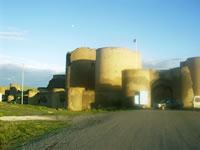 Ani Ruins Photo Gallery 1 (The City Walls) (Kars, Ani)