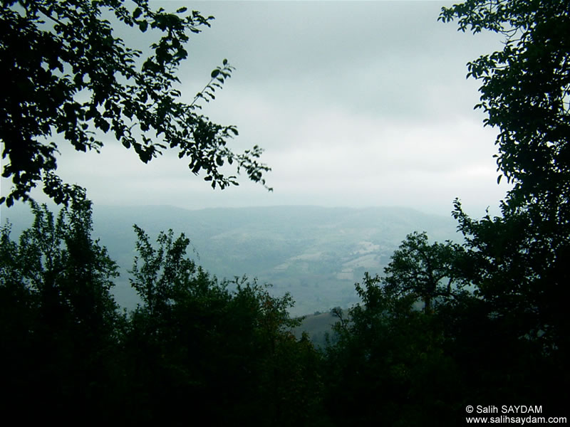 Nuzhetiye Village Photo Gallery (Kocaeli (Izmit), Golcuk)